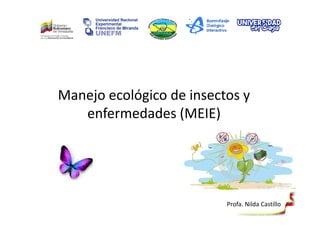 Manejo ecológico de insectos y
enfermedades (MEIE)
enfermedades (MEIE)
Profa. Nilda Castillo
 