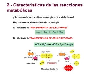 2.- Características de las reacciones
metabólicas
¿De qué modo se transfiere la energía en el metabolismo?
Hay dos formas de transferencia de energía:
A) Mediante la TRANSFERENCIA DE ELECTRONES
B) Mediante la TRANSFERENCIA DE GRUPOS FOSFATO
Miguel A. Castro R.
 