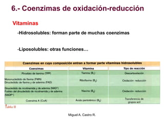 6.- Coenzimas de oxidación-reducción
Vitaminas
-Hidrosolubles: forman parte de muchas coenzimas
-Liposolubles: otras funciones…
Miguel A. Castro R.
 