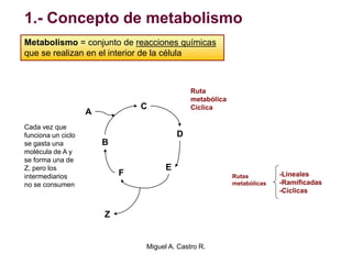1.- Concepto de metabolismo
Metabolismo = conjunto de reacciones químicas
que se realizan en el interior de la célula
A
B
C
D
E
F
Z
Cada vez que
funciona un ciclo
se gasta una
molécula de A y
se forma una de
Z, pero los
intermediarios
no se consumen
Ruta
metabólica
Cíclica
-Lineales
-Ramificadas
-Cíclicas
Rutas
metabólicas
Miguel A. Castro R.
 