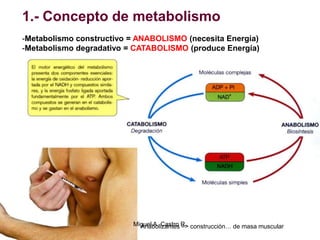 1.- Concepto de metabolismo
-Metabolismo constructivo = ANABOLISMO (necesita Energía)
-Metabolismo degradativo = CATABOLISMO (produce Energía)
Anabolizantes => construcción… de masa muscularMiguel A. Castro R.
 