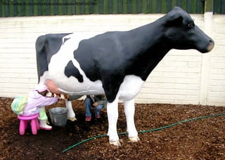 20
http://www.ﬂickr.com/photos/macieklew/956195788/
 