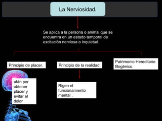 La Nerviosidad.
Se aplica a la persona o animal que se
encuentra en un estado temporal de
excitación nerviosa o inquietud.
Principio de placer. Principio de la realidad.
Patrimonio Hereditario
filogénico.
afán por
obtener
placer y
evitar el
dolor
Rigen el
funcionamiento
mental .
 