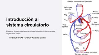 Introducción al
sistema circulatorio
El sistema circulatorio es fundamental para la distribución de nutrientes y
oxígeno en el cuerpo.
by ENOCH CASTENDET/ Kareimy Corleto
 