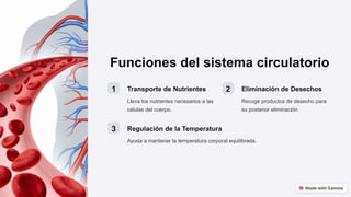 Funciones del sistema circulatorio
1 Transporte de Nutrientes
Lleva los nutrientes necesarios a las
células del cuerpo.
2 Eliminación de Desechos
Recoge productos de desecho para
su posterior eliminación.
3 Regulación de la Temperatura
Ayuda a mantener la temperatura corporal equilibrada.
 