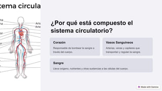 ¿Por qué está compuesto el
sistema circulatorio?
Corazón
Responsable de bombear la sangre a
través del cuerpo.
Vasos Sanguíneos
Arterias, venas y capilares que
transportan y regulan la sangre.
Sangre
Lleva oxígeno, nutrientes y otras sustancias a las células del cuerpo.
 