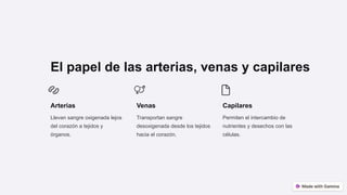 El papel de las arterias, venas y capilares
Arterias
Llevan sangre oxigenada lejos
del corazón a tejidos y
órganos.
Venas
Transportan sangre
desoxigenada desde los tejidos
hacia el corazón.
Capilares
Permiten el intercambio de
nutrientes y desechos con las
células.
 