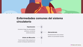 Enfermedades comunes del sistema
circulatorio
1
Hipertensión
Aumenta el riesgo de enfermedades
cardíacas y accidentes
cerebrovasculares. 2 Aterosclerosis
El estrechamiento de las arterias
debido a la acumulación de placa.
3
Infarto de Miocardio
Ocurre cuando el flujo sanguíneo al
corazón se bloquea repentinamente.
 