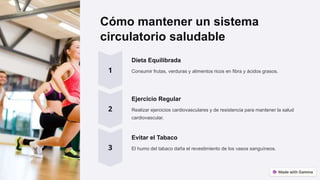 Cómo mantener un sistema
circulatorio saludable
Dieta Equilibrada
Consumir frutas, verduras y alimentos ricos en fibra y ácidos grasos.
Ejercicio Regular
Realizar ejercicios cardiovasculares y de resistencia para mantener la salud
cardiovascular.
Evitar el Tabaco
El humo del tabaco daña el revestimiento de los vasos sanguíneos.
 