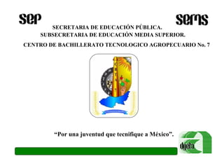 SECRETARIA DE EDUCACIÓN PÚBLICA.
SUBSECRETARIA DE EDUCACIÓN MEDIA SUPERIOR.
CENTRO DE BACHILLERATO TECNOLOGICO AGROPECUARIO No. 7

“Por una juventud que tecnifique a México”.

 