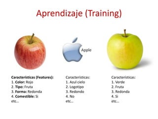 Aprendizaje (Training)
Características (Features):
1. Color: Rojo
2. Tipo: Fruta
3. Forma: Redonda
4. Comestible: Si
etc…
...