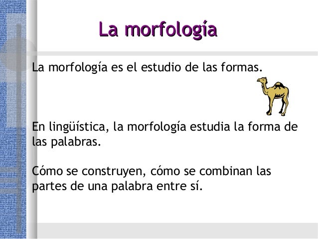 Introduccion a morfologia iv semestre