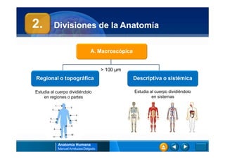 Divisiones de la Anatomía
Sistemas del cuerpo
2.
Reproducción
Relación Coordinación Nutrición
• Óseo
• Muscular
• Sensoria...