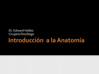 Introducción  a la Anatomía Dr. Edward Valdez Cirujano Oncólogo 