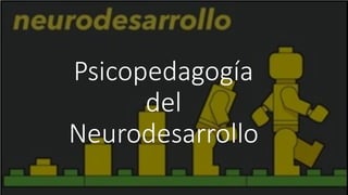 Psicopedagogía
del
Neurodesarrollo
 