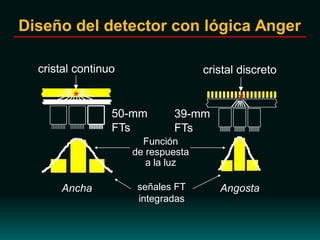 Diseño del detector con lógica Anger
*
50-mm
FTs
cristal continuo
Función
de respuesta
a la luz
señales FT
integradas
*
cristal discreto
39-mm
FTs
Ancha Angosta
 