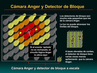 Los detectores de bloque son
mucho más pequeños que los
de la cámara Anger.
La luz no puede atravesar los
límites del bloque.
Cámara Anger y detector de bloque a escala
γ
γ γ
A tasas elevadas de conteo,
el detector de bloque tiene
varias veces menos
apilamiento que la cámara
Anger.
γ
γ
Si el evento ‘apilado’
no es rechazado, el
circuito lógico Anger
lo ubica aquí
Cámara Anger y Detector de Bloque
 