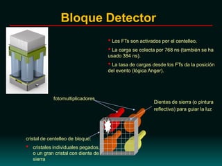 cristal de centelleo de bloque:
• cristales individuales pegados,
o un gran cristal con diente de
sierra
fotomultiplicadores
Dientes de sierra (o pintura
reflectiva) para guiar la luz
• Los FTs son activados por el centelleo.
• La carga se colecta por 768 ns (también se ha
usado 384 ns).
• La tasa de cargas desde los FTs da la posición
del evento (lógica Anger).
γ
Bloque Detector
 