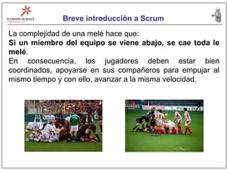 Breve introducción a Scrum La complejidad de una melé hace que: Si un miembro del equipo se viene abajo, se cae toda le melé .  En consecuencia, los jugadores deben estar bien coordinados, apoyarse en sus compañeros para empujar al mismo tiempo y con ello, avanzar a la misma velocidad. 