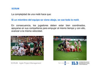 SCRUM: Agile Project Management
La complejidad de una melé hace que:
Si un miembro del equipo se viene abajo, se cae toda la melé.
En consecuencia, los jugadores deben estar bien coordinados,
apoyarse en sus compañeros para empujar al mismo tiempo y con ello,
avanzar a la misma velocidad.
SCRUM
 
