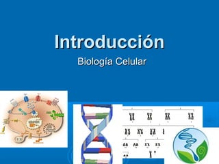IntroducciónIntroducción
Biología CelularBiología Celular
11
 