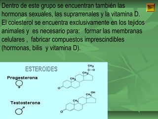 Dentro de este grupo se encuentran también las 
hormonas sexuales, las suprarrenales y la vitamina D. 
El colesterol se encuentra exclusivamente en los tejidos 
animales y es necesario para: formar las membranas 
celulares , fabricar compuestos imprescindibles 
(hormonas, bilis y vitamina D). 
ISAURA MA. NAVARRET E CU 
 