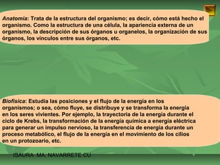 Anatomía: Trata de la estructura del organismo; es decir, cómo está hecho el 
organismo. Como la estructura de una célula, la apariencia externa de un 
organismo, la descripción de sus órganos u organelos, la organización de sus 
órganos, los vínculos entre sus órganos, etc. 
Biofísica: Estudia las posiciones y el flujo de la energía en los 
organismos; o sea, cómo fluye, se distribuye y se transforma la energía 
en los seres vivientes. Por ejemplo, la trayectoria de la energía durante el 
ciclo de Krebs, la transformación de la energía química a energía eléctrica 
para generar un impulso nervioso, la transferencia de energía durante un 
proceso metabólico, el flujo de la energía en el movimiento de los cilios 
en un protozoario, etc. 
ISAURA MA. NAVARRET E CU 
 