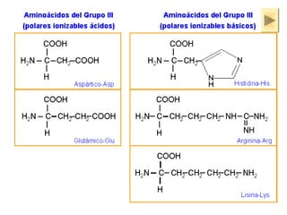 ISAURA MA. NAVARRET E CU 
 