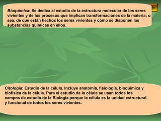 Bioquímica: Se dedica al estudio de la estructura molecular de los seres 
vivientes y de los procesos que implican transformaciones de la materia; o 
sea, de qué están hechos los seres vivientes y cómo se disponen las 
substancias químicas en ellos. 
Citología: Estudio de la célula. Incluye anatomía, fisiología, bioquímica y 
biofísica de la célula. Para el estudio de la célula se usan todos los 
campos de estudio de la Biología porque la célula es la unidad estructural 
y funcional de todos los seres vivientes. 
ISAURA MA. NAVARRET E CU 
 