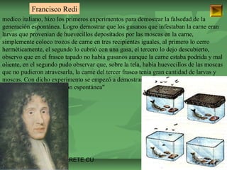 Francisco Redi 
medico italiano, hizo los primeros experimentos para demostrar la falsedad de la 
generación espontánea. Logro demostrar que los gusanos que infestaban la carne eran 
larvas que provenían de huevecillos depositados por las moscas en la carne, 
simplemente coloco trozos de carne en tres recipientes iguales, al primero lo cerro 
herméticamente, el segundo lo cubrió con una gasa, el tercero lo dejo descubierto, 
observo que en el frasco tapado no había gusanos aunque la carne estaba podrida y mal 
oliente, en el segundo pudo observar que, sobre la tela, había huevecillos de las moscas 
que no pudieron atravesarla, la carne del tercer frasco tenia gran cantidad de larvas y 
moscas. Con dicho experimento se empezó a demostrar la falsedad de la teoría 
conocida como "generación espontánea" 
ISAURA MA. NAVARRET E CU 
 