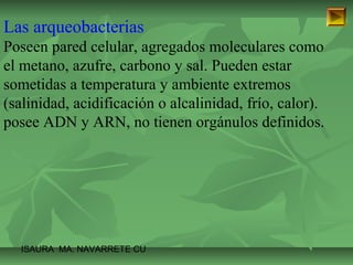 Las arqueobacterias 
Poseen pared celular, agregados moleculares como 
el metano, azufre, carbono y sal. Pueden estar 
sometidas a temperatura y ambiente extremos 
(salinidad, acidificación o alcalinidad, frío, calor). 
posee ADN y ARN, no tienen orgánulos definidos. 
ISAURA MA. NAVARRET E CU 
 