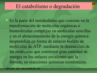 El catabolismo o degradación 
 Es la parte del metabolismo que consiste en la 
transformación de moléculas orgánicas o 
biomoléculas complejas en moléculas sencillas 
y en el almacenamiento de la energía química 
desprendida en forma de enlaces fosfato de 
moléculas de ATP, mediante la destrucción de 
las moléculas que contienen gran cantidad de 
energía en los enlaces covalentes que la 
forman, en reacciones químicas exotérmicas. 
ISAURA MA. NAVARRET E CU 
 