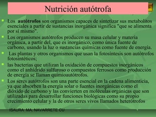 Nutrición autótrofa 
 Los autótrofos son organismos capaces de sintetizar sus metabolitos 
esenciales a partir de sustancias inorgánica significa "que se alimenta 
por sí mismo". 
 Los organismos autótrofos producen su masa celular y materia 
orgánica, a partir del, que es inorgánico, como única fuente de 
carbono, usando la luz o sustancias químicas como fuente de energía. 
 Las plantas y otros organismos que usan la fotosíntesis son autótrofos 
fotosintéticos; 
 las bacterias que utilizan la oxidación de compuestos inorgánicos 
como el anhídrido sulfuroso o compuestos ferrosos como producción 
de energía se llaman quimioautótrofos. 
 Los seres autótrofos son una parte esencial en la cadena alimenticia, 
ya que absorben la energía solar o fuentes inorgánicas como el 
dióxido de carbono y las convierten en moléculas orgánicas que son 
utilizadas para desarrollar funciones biológicas como su propio 
crecimiento celular y la de otros seres vivos llamados heterótrofos 
ISAURA MA. NAVARRET E CU 
 