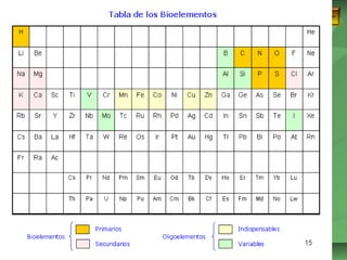 ISAURA MA. NAVARRET E CU 
 