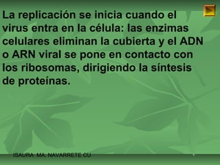 La replicación se inicia cuando el 
virus entra en la célula: las enzimas 
celulares eliminan la cubierta y el ADN 
o ARN viral se pone en contacto con 
los ribosomas, dirigiendo la síntesis 
de proteínas. 
ISAURA MA. NAVARRET E CU 
 