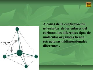 ISAURA MA. NAVARRET E CU 
A causa de la configuración 
tetraédrica de los enlaces del 
carbono, los diferentes tipos de 
moléculas orgánicas tienen 
estructuras tridimensionales 
diferentes . 
 