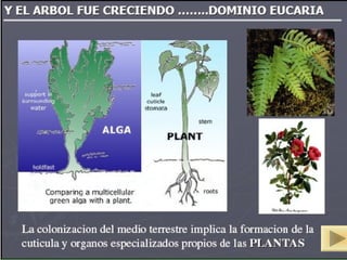 ISAURA MA. NAVARRET E CU 
 