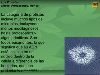 Los Protistas 
(Algas, Protozoarios, Mohos) 
La categoría de protistas 
incluye muchos tipos de 
microbios, incluyendo 
mohos mucilaginosos 
hasta protozoarios y 
algas primitivas. Son 
todos eucariontes, lo que 
significa que su ADN 
está incluido en un 
núcleo dentro de la 
célula a diferencia de las 
bacterias, que son 
procariontes. 
ISAURA MA. NAVARRET E CU 
 