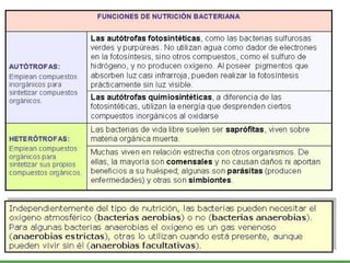 ISAURA MA. NAVARRET E CU 
 