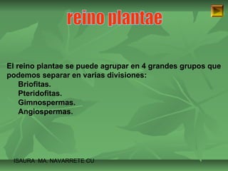 El reino plantae se puede agrupar en 4 grandes grupos que 
podemos separar en varias divisiones: 
Briofitas. 
Pteridofitas. 
Gimnospermas. 
Angiospermas. 
ISAURA MA. NAVARRET E CU 
 