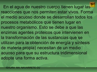En el agua de nuestro cuerpo tienen lugar las 
reacciones que nos permiten estar vivos. Forma 
el medio acuoso donde se desarrollan todos los 
procesos metabólicos que tienen lugar en 
nuestro organismo. Esto se debe a que las 
enzimas agentes proteicos que intervienen en 
la transformación de las sustancias que se 
utilizan para la obtención de energía y síntesis 
de materia propia) necesitan de un medio 
acuoso para que su estructura tridimensional 
adopte una forma activa. 
ISAURA MA. NAVARRET E CU 
 