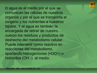 El agua es el medio por el que se 
comunican las células de nuestros 
órganos y por el que se transporta el 
oxígeno y los nutrientes a nuestros 
tejidos. Y el agua es también la 
encargada de retirar de nuestro 
cuerpo los residuos y productos de 
deshecho del metabolismo celular. 
Puede intervenir como reactivo en 
reacciones del metabolismo, 
aportando hidrogeniones (H3O+) o 
hidroxilos (OH -) al medio. 
ISAURA MA. NAVARRET E CU 
 