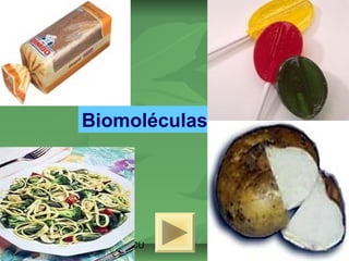 Biomoléculas 
ISAURA MA. NAVARRET E CU 
 