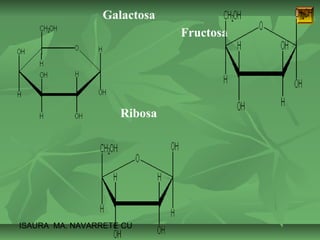 ISAURA MA. NAVARRET E CU 
Fructosa 
Galactosa 
Ribosa 
 