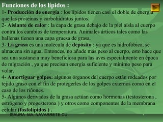 Funciones de los lípidos : 
1- Producción de energía : los lípidos tienen casi el doble de energía 
que las proteínas y carbohidratos juntos. 
2- Aislante de calor : la capa de grasa debajo de la piel aísla al cuerpo 
contra los cambios de temperatura. Animales árticos tales como las 
ballenas tienen una capa gruesa de grasa. 
3- La grasa es una molécula de depósito : ya que es hidrofóbica, se 
almacena sin agua. Entonces, no añade más peso al cuerpo, esto hace que 
sea una sustancia muy beneficiosa para las aves especialmente en época 
de migración , ya que precisan energía suficiente y mínimo peso para 
volar. 
4- Amortiguar golpes: algunos órganos del cuerpo están rodeados por 
tejido graso con el fin de protegerles de los golpes externos como en el 
caso de los riñones. 
5- Algunos derivados de la grasa actúan como hormonas (testosterona , 
estrógeno y progesterona ) y otros como componentes de la membrana 
celular (fosfolípidos ) . 
ISAURA MA. NAVARRET E CU 
 