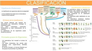 CLASIFICACIÓN
Los sistemáticos han revisado el número de
reinos
Los datos moleculares han servido para
identificar unos «súper-reinos», llamados
dominios
El dominio Archaea y el dominio Bacteria son
dos grupos de procariotas muy diferentes
Principales grupos de Organismos
La clasificación de organismos data de la antigüedad
Linneo estableció las bases de la nomenclatura
moderna de las especies
Clasificación Predarwiana
Hay nuevas especies que esperan ser
descubiertas Los sistemáticos investigan la
especiación activa
Los datos moleculares continuarán
facilitándonos un mejor entendimiento de la
evolución
La clasificación de los organismos posee
beneficios prácticos
El future de la clasificación
Los sistemáticos utilizan un repertorio de
caracteres para clasificar los organismos
Los datos moleculares desempeñan un
papel substancial en la clasificación
filogenética
Los organismos están clasificados en una
jerarquía
Los sistemáticos establecen hipótesis
acerca de las relaciones evolutivas
Clasificación y Evolucion
 