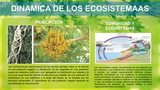 DINAMICA DE LOS ECOSISTEMAAS
POBLACION
Las características reproductoras de las plantas plantean retos en el estudio
de una población vegetal La distribución de los vegetales en una población
puede ser aleatoria, uniforme o por agregados La distribución por edades y la
curva de supervivencia definen la estructura por edades de una población El
crecimiento de una población a lo largo del tiempo se ve limitado por los
recursos ambientales El crecimiento de una población vegetal depende de
sus patrones de reproducción
COMUNIDAD Y
ECOSISTEMAS
Las comunidades pueden caracterizarse por las especies que
las componen y por la distribución vertical y horizontal de éstas
A menudo, los medios aparentemente uniformes incluyen
diferentes microhábitat Un nivel moderado de perturbaciones
puede incrementar el número de especies en un ecosistema La
sucesión ecológica describe la variación en las comunidades a
lo largo del tiempo La energía almacenada en los organismos
fotosintéticos se transmite de manera ineficaz a otros
organismos del mismo ecosistema
 