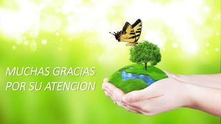 MUCHAS GRACIAS
POR SU ATENCION
 