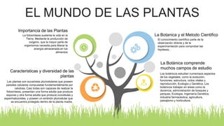 EL MUNDO DE LAS PLANTAS
El conocimiento científico parte de la
observación directa y de la
experimentación para comprobar las
hipótesis..
La Botanica y el Metodo Cientifico
Los botánicos estudian numerosos aspectos
de los vegetales, como la evolución,
funciones, estructura, ciclos vitales y
reproducción, Ecología y Genética. Los
botánicos trabajan en áreas como la
docencia, administración de bosques y
parques, Ecología, Ingeniería Genética,
industria farmacéutica, agricultura,
paisajismo y horticultura.
La Botánica comprende
muchos campos de estudio
La fotosíntesis sustenta la vida en la
Tierra. Mediante la producción de
oxígeno, que la mayor parte de
organismos necesita para liberar la
energía almacenada en los
alimentos
Importancia de las Plantas
Las plantas son eucariotas pluricelulares que poseen
paredes celulares compuestas fundamentalmente por
celulosa. Casi todas son capaces de realizar la
fotosíntesis, presentan una forma adulta que produce
esporas y otra forma adulta que produce ovocélulas y
espermatozoides, y poseen un embrión pluricelular que
se encuentra protegido dentro de la planta madre.
Caracteristicas y diversidad de las
plantas
 