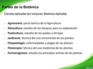INTRODUCCION BOTANICA 1.pptx